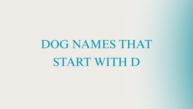 100 Cool Dog Names That Start With D