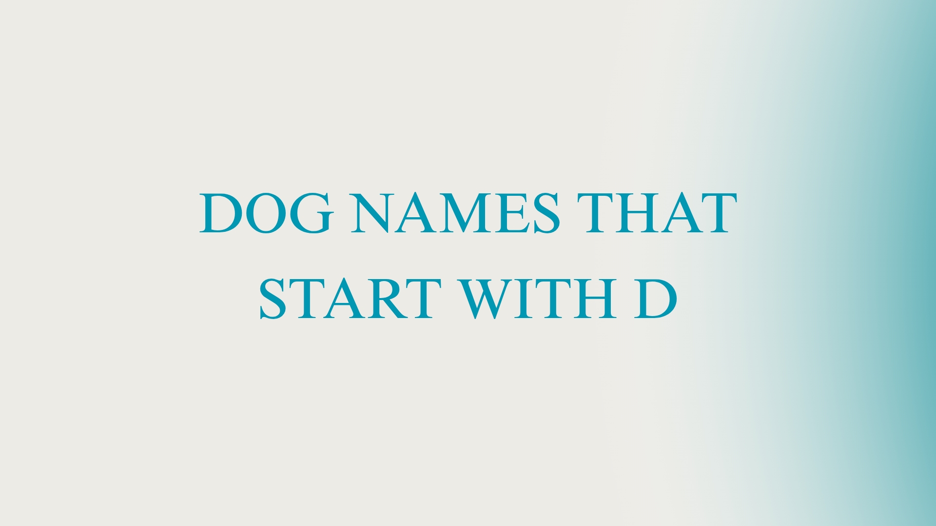100 Cool Dog Names That Start With D