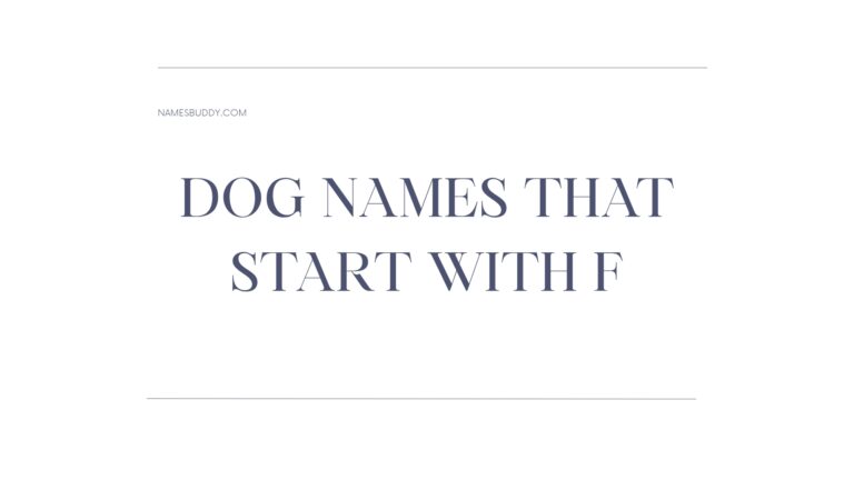 100 Cool Dog Names That Start With F