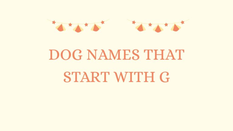 100 Unique Dog Names That Start With G