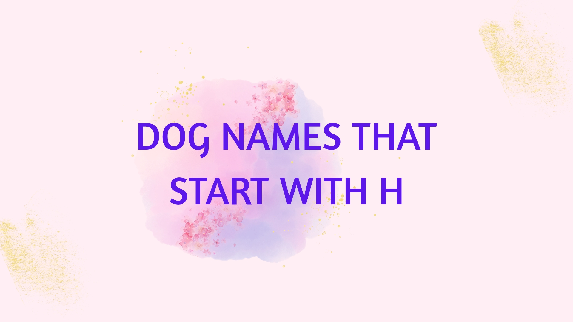 100 Trendy Dog Names That Start With H