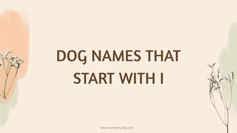 100 Cool Dog Names That Start With I