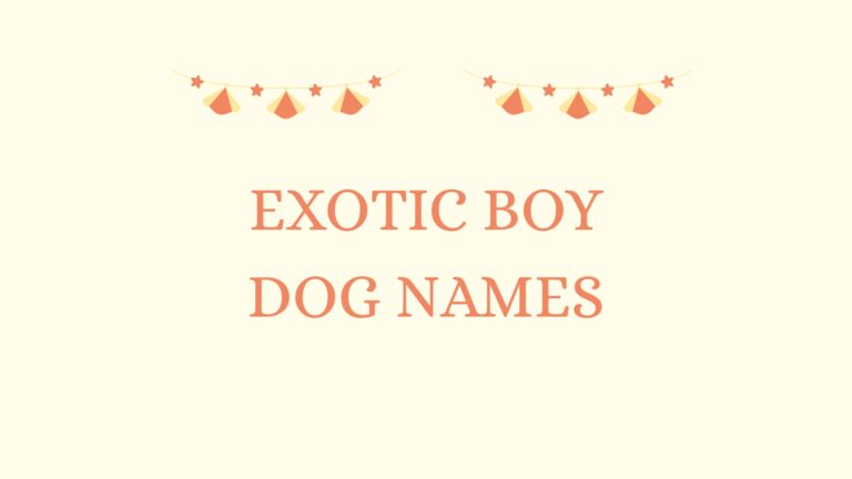 100 Exotic Boy Dog Names