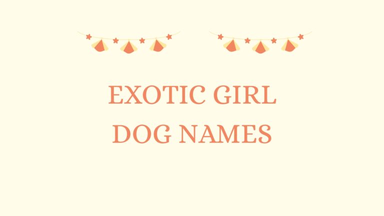 100 Exotic Girl Dog Names