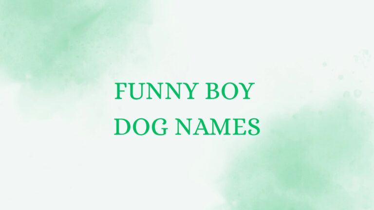 100 Funny Boy Dog Names