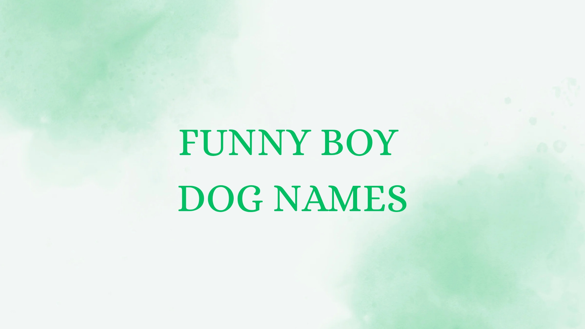 100 Funny Boy Dog Names