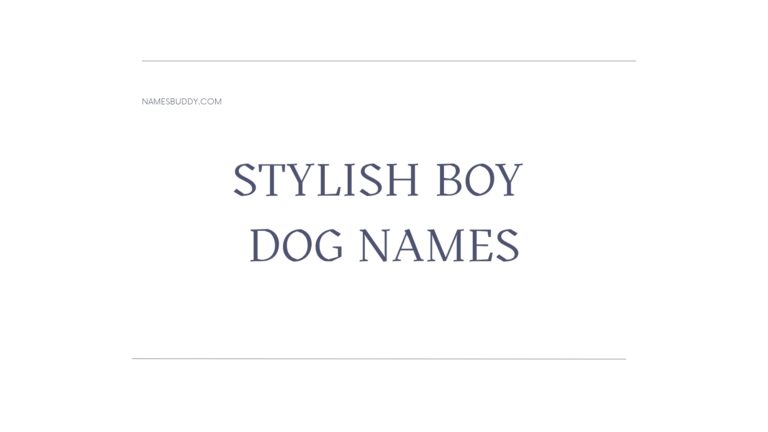100 Stylish Boy Dog Names