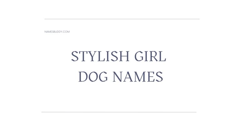 100 Stylish Girl Dog Names