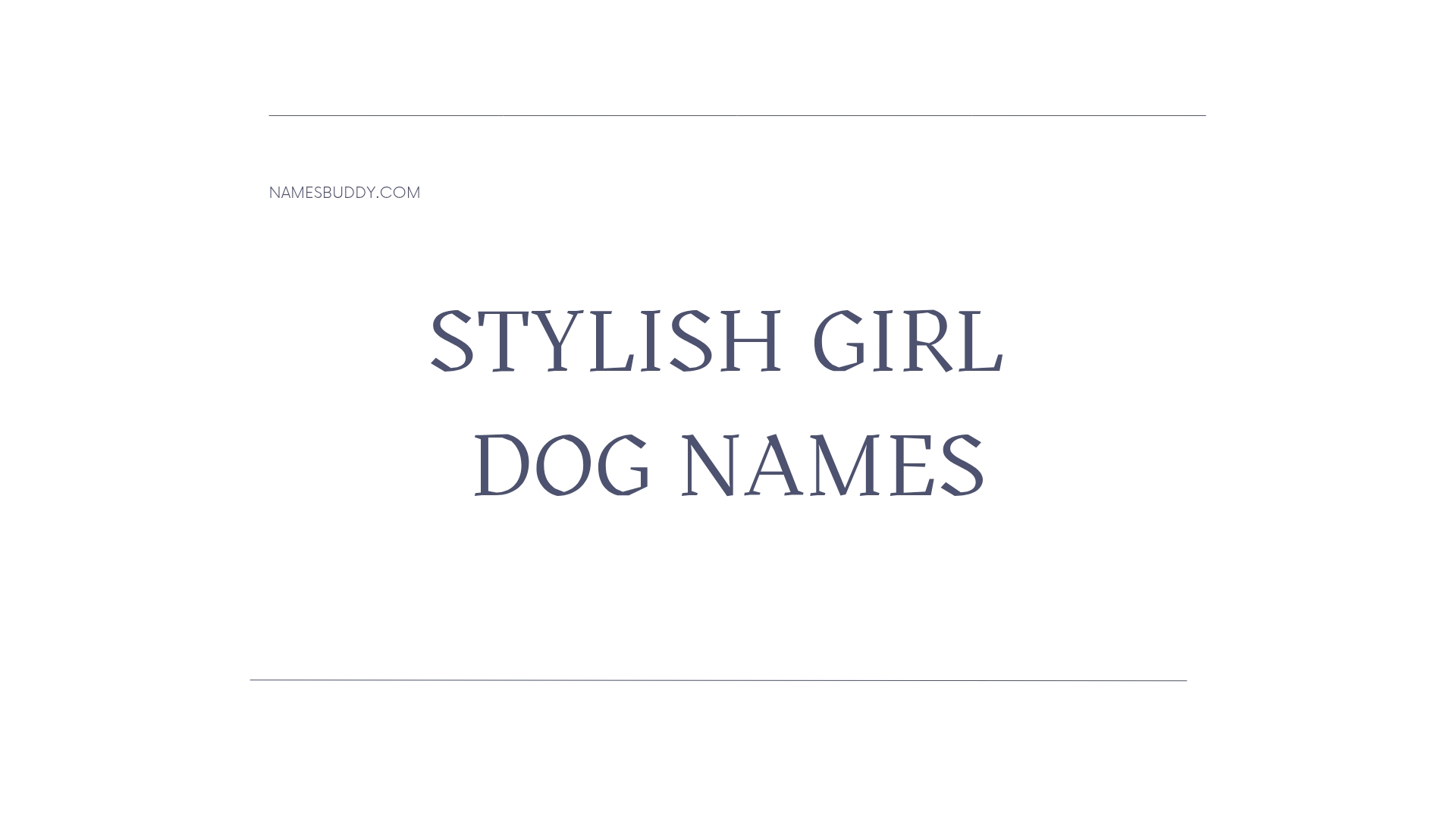 100 Stylish Girl Dog Names