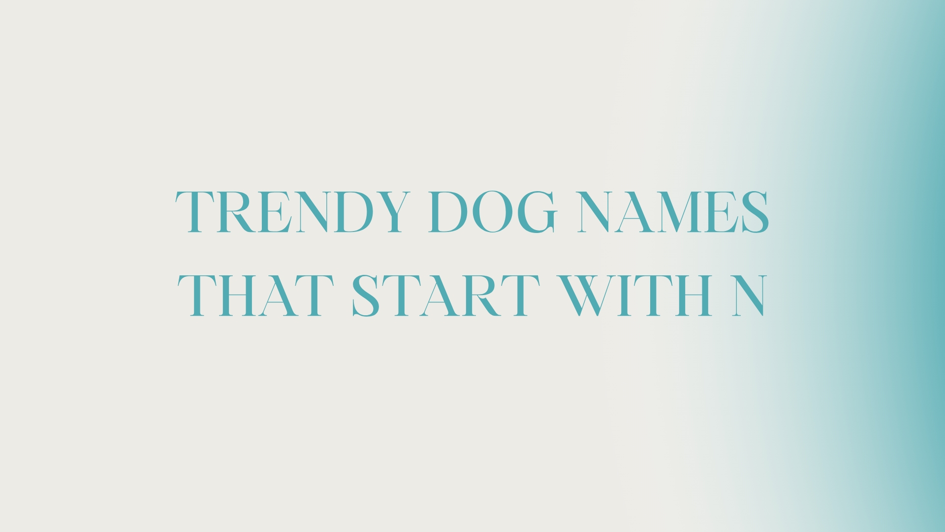 100 Trendy Dog Names That Start With N