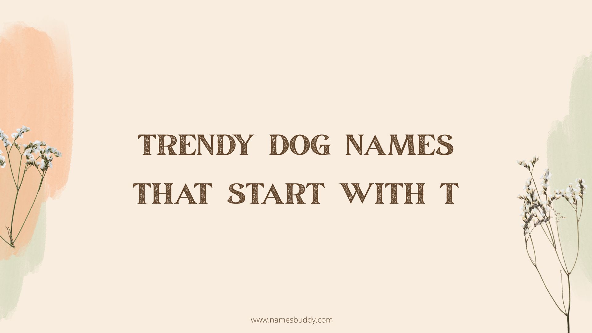 100 Trendy Dog Names That Start With T