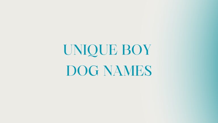 100 Unique Boy Dog Names