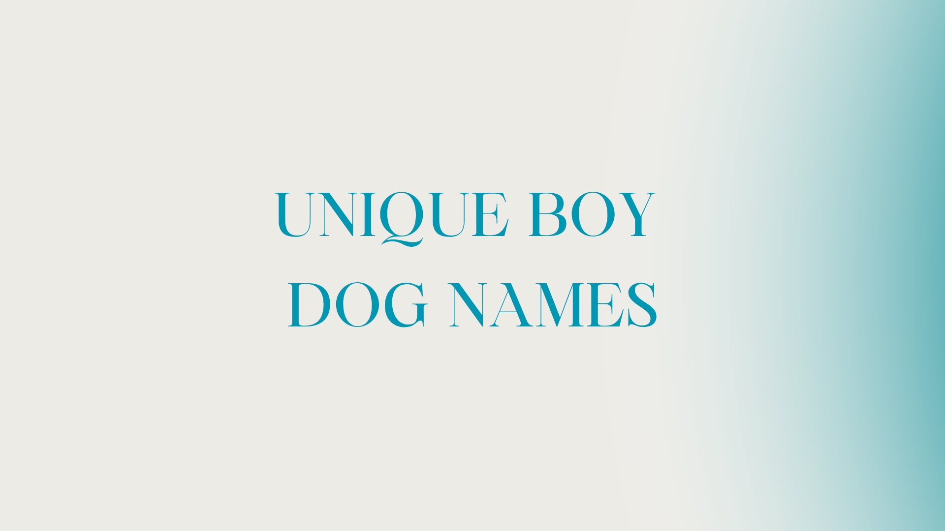 100 Unique Boy Dog Names