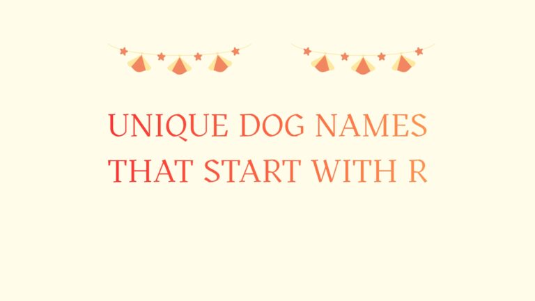 100 Unique Dog Names That Start With R