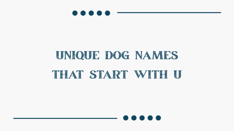 100 Unique Dog Names That Start With U