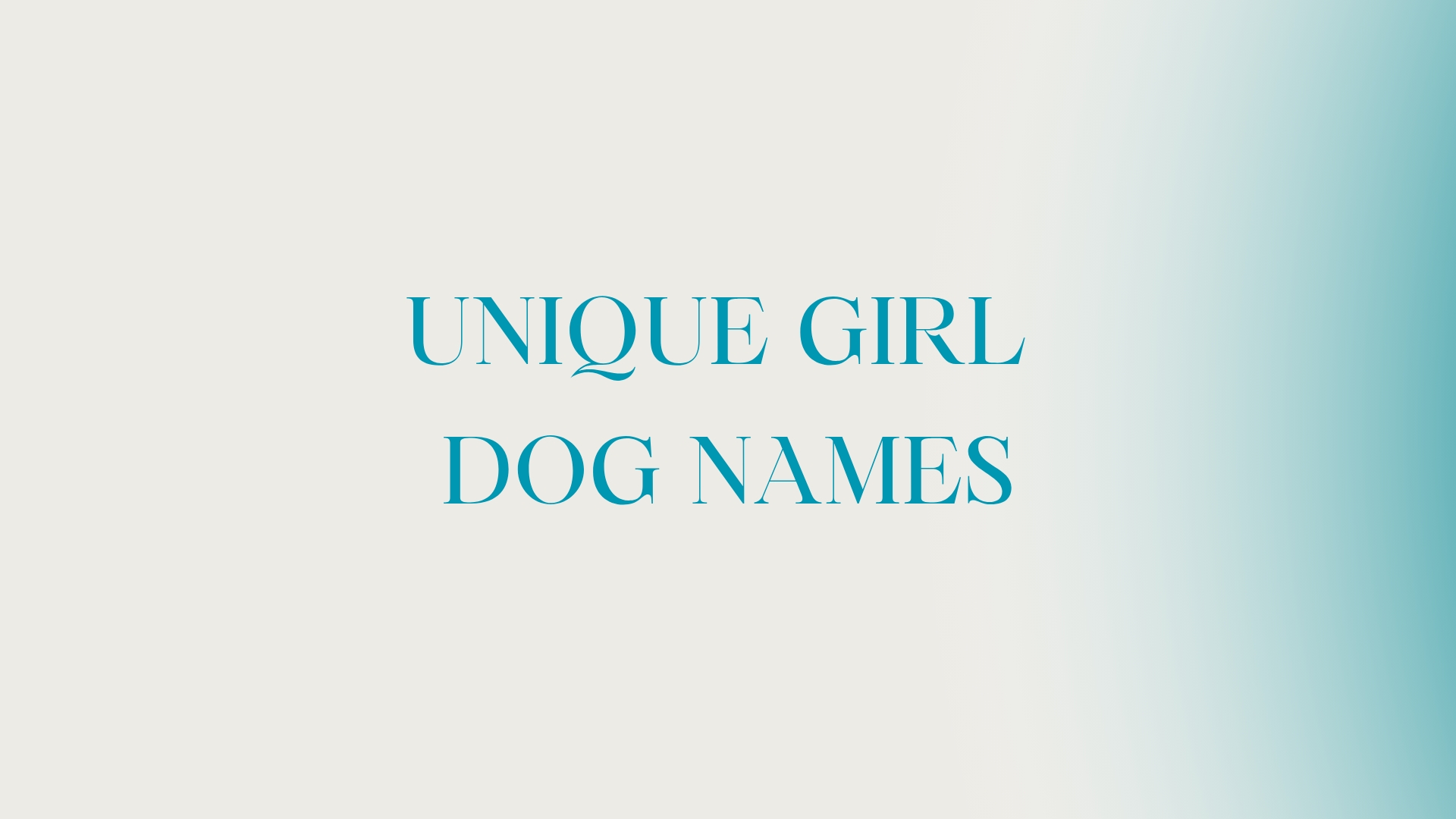 100 Unique Girl Dog Names