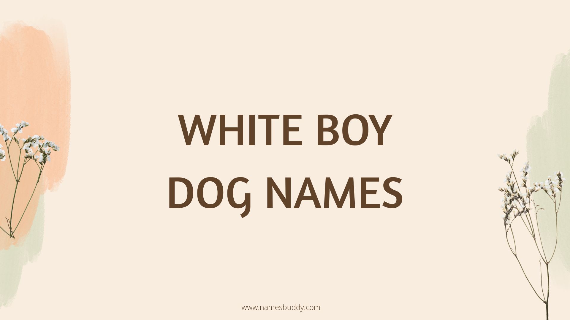 100 White Boy Dog Names